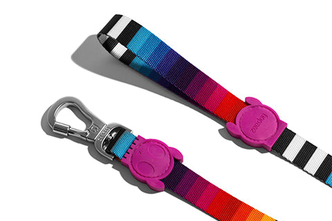 30% OFF: Zee.Dog Dog Leash (Prisma) - Kohepets