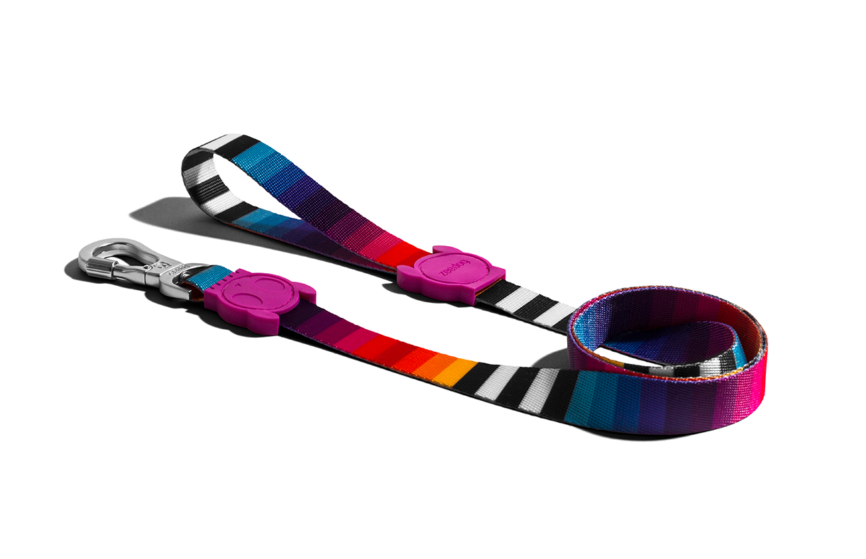 30% OFF: Zee.Dog Dog Leash (Prisma) - Kohepets