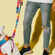 30% OFF: Zee.Dog Dog Leash (Prisma) - Kohepets