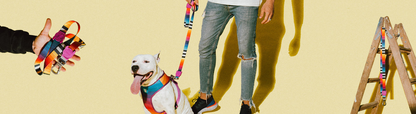 30% OFF: Zee.Dog Dog Leash (Prisma) - Kohepets