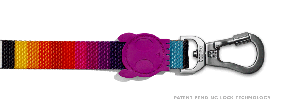 30% OFF: Zee.Dog Dog Leash (Prisma) - Kohepets