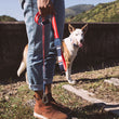 30% OFF: Zee.Dog Dog Leash (Rocket) - Kohepets