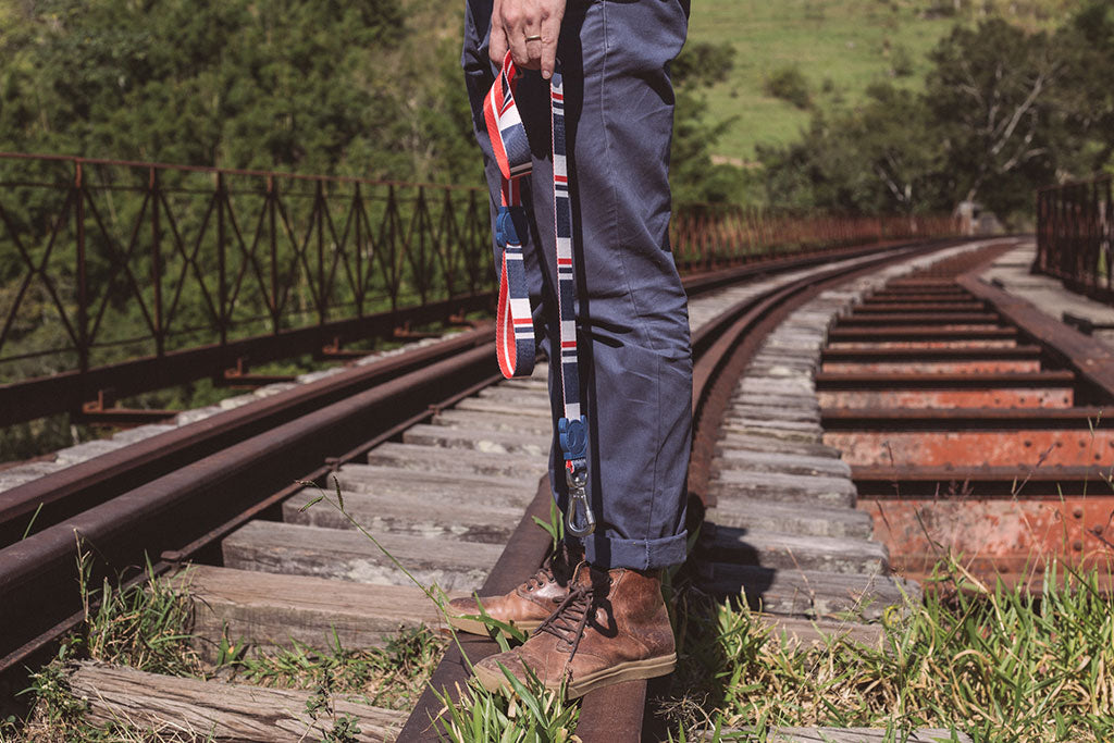 30% OFF: Zee.Dog Dog Leash (Rocket) - Kohepets