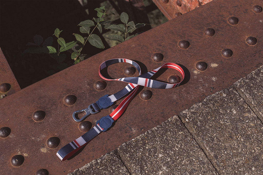 30% OFF: Zee.Dog Dog Leash (Rocket) - Kohepets