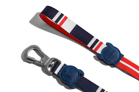 30% OFF: Zee.Dog Dog Leash (Rocket) - Kohepets