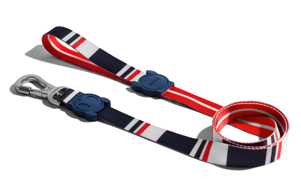 30% OFF: Zee.Dog Dog Leash (Rocket) - Kohepets