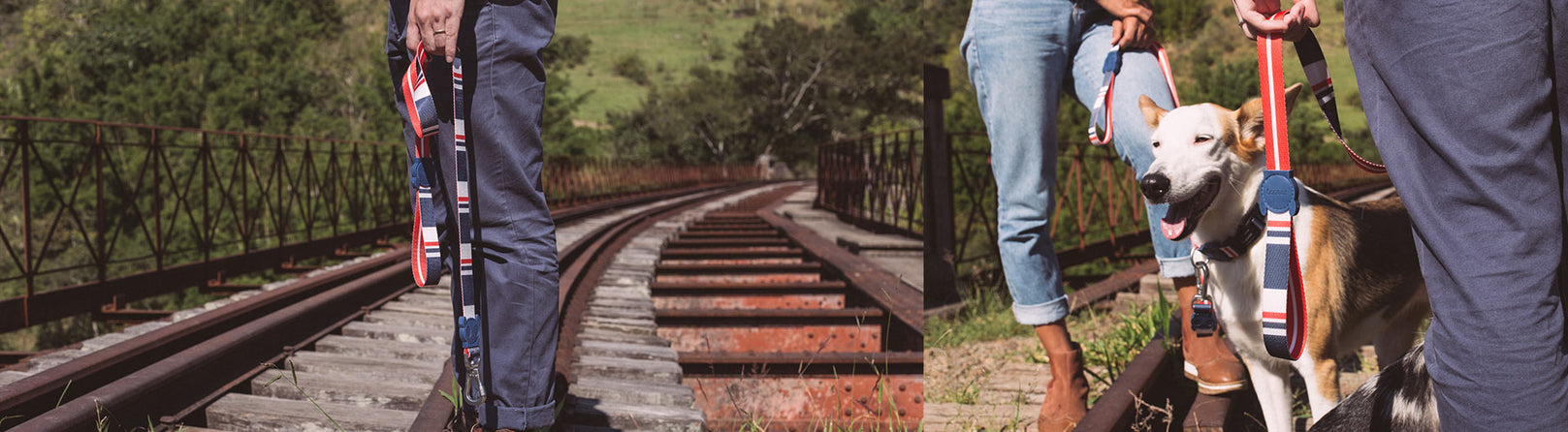 30% OFF: Zee.Dog Dog Leash (Rocket) - Kohepets