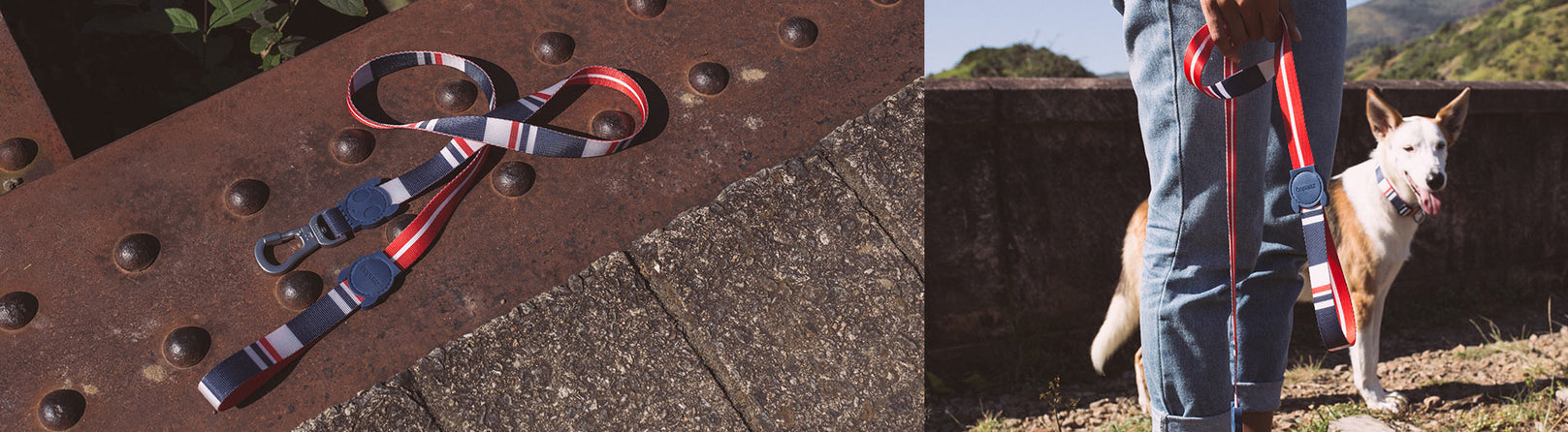 30% OFF: Zee.Dog Dog Leash (Rocket) - Kohepets