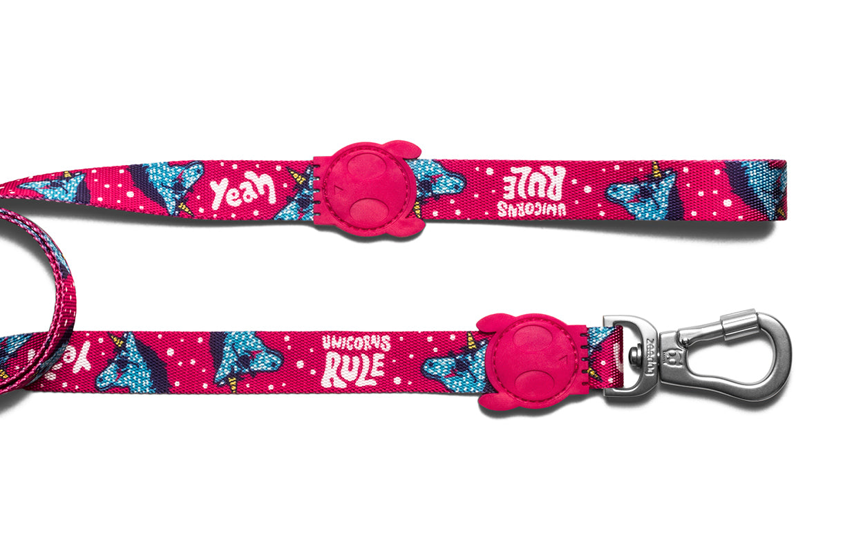 30% OFF: Zee.Dog Dog Leash (Uni) - Kohepets