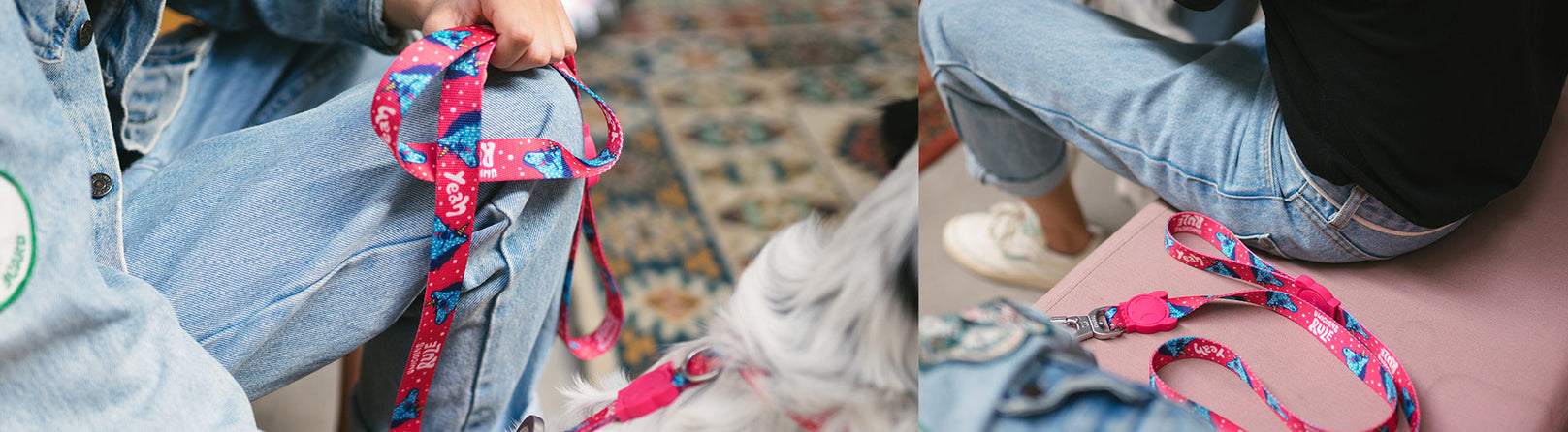 30% OFF: Zee.Dog Dog Leash (Uni) - Kohepets