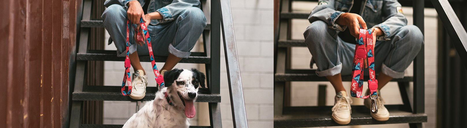 30% OFF: Zee.Dog Dog Leash (Uni) - Kohepets