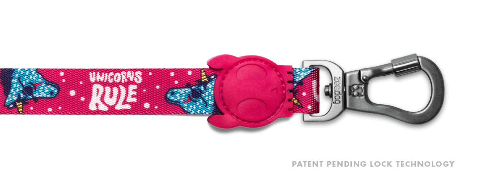 30% OFF: Zee.Dog Dog Leash (Uni) - Kohepets