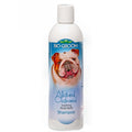 Bio-Groom Natural Oatmeal Anti-Itch Shampoo 12oz - Kohepets