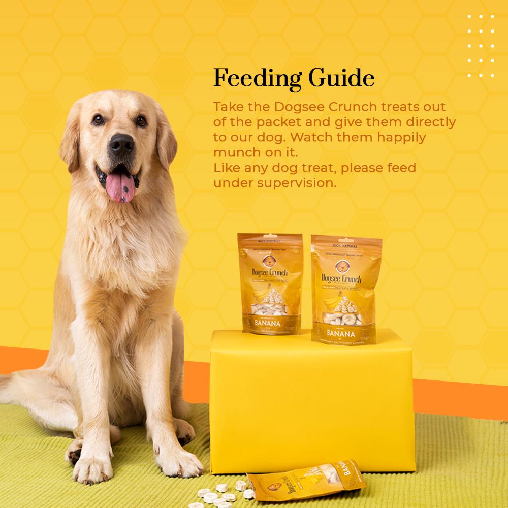 33% OFF: Dogsee Crunch Banana Freeze-Dried Dog Treats 15g - Kohepets