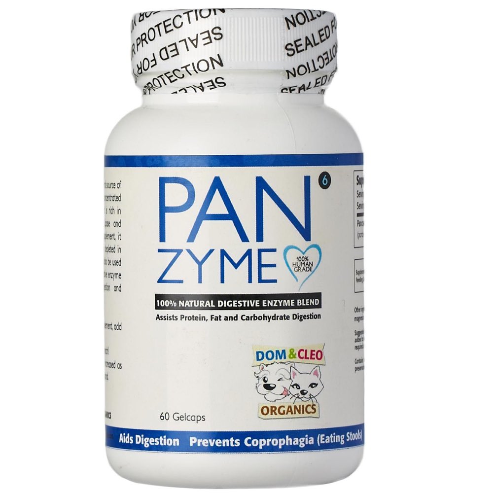 Dom & Cleo Panzyme Supplement 60 Cap | Kohepets