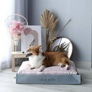 DreamCastle Natural Dog Bed (Oxford)