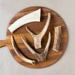 2 FOR $23.30: Earthmade Free-Range Grass-Fed Venison Antler (Medium) Air-Dried Dog Chew 1pc - Kohepets