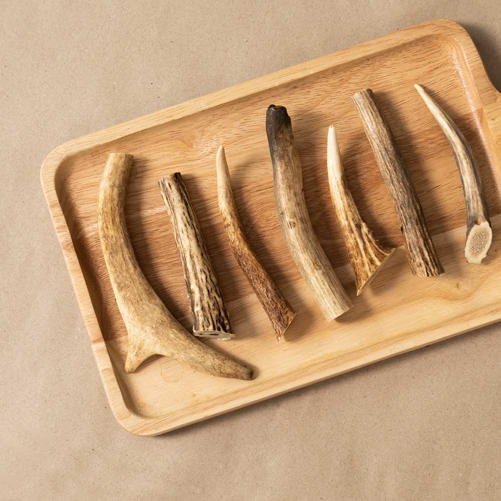 2 FOR $23.30: Earthmade Free-Range Grass-Fed Venison Antler (Small) Air-Dried Dog Chews 2pc - Kohepets