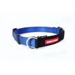 EzyDog Checkmate Dog Collar - Medium - Kohepets