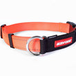 EzyDog Checkmate Dog Collar - Medium - Kohepets