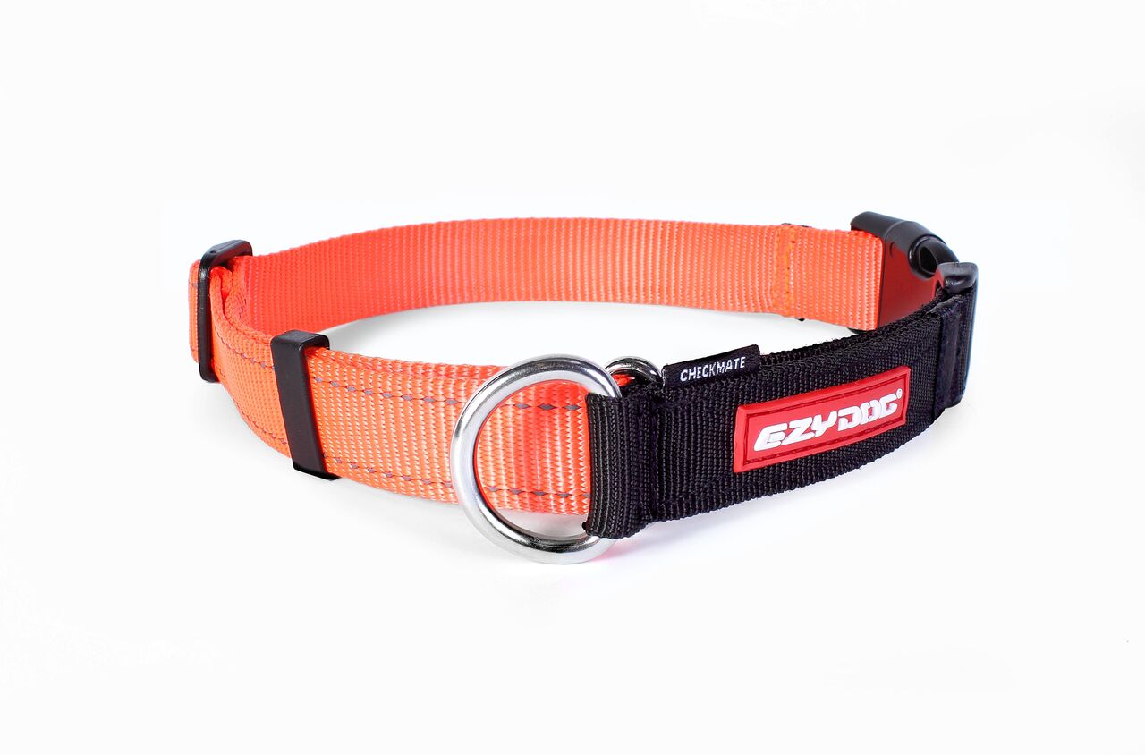 EzyDog Checkmate Dog Collar - Medium - Kohepets