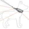 EzyDog Checkmate Dog Collar - Medium - Kohepets