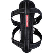 EzyDog Chest Plate Harness - Extra Large - Kohepets