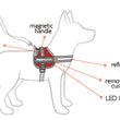 EzyDog Convert Harness - Medium - Kohepets