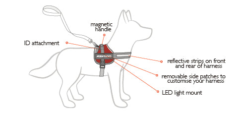 EzyDog Convert Harness - Medium - Kohepets