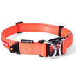 EzyDog Double Up Dog Collar - Medium - Kohepets