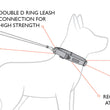 EzyDog Double Up Dog Collar - Medium - Kohepets