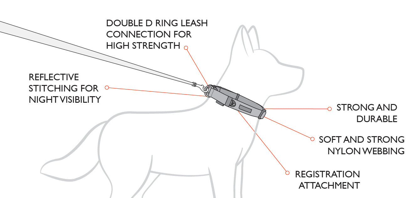 EzyDog Double Up Dog Collar - Medium - Kohepets