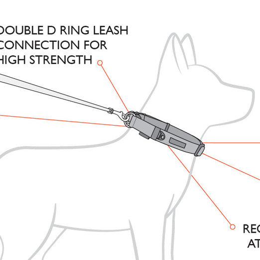 EzyDog Double Up Dog Collar - Small - Kohepets
