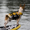 EzyDog Micro Doggy Floatation Vest 2XS - Kohepets