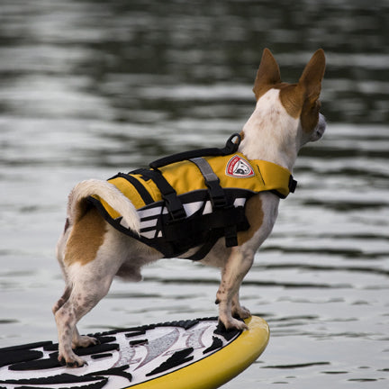 EzyDog Micro Doggy Floatation Vest 2XS - Kohepets