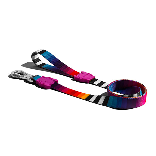 30% OFF: Zee.Dog Dog Leash (Prisma) - Kohepets