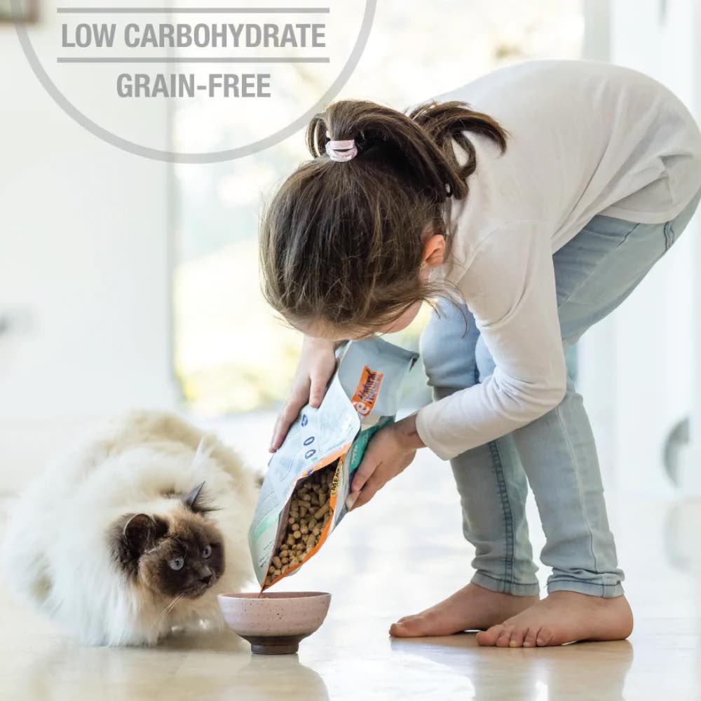 BUNDLE DEAL: Feline Natural Lamb Feast Freeze Dried Raw Cat Food 320g