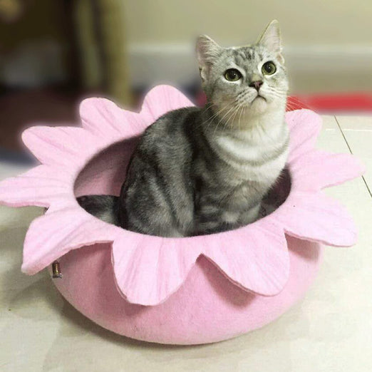 Sweety Flower Felt Cat Bed - Kohepets
