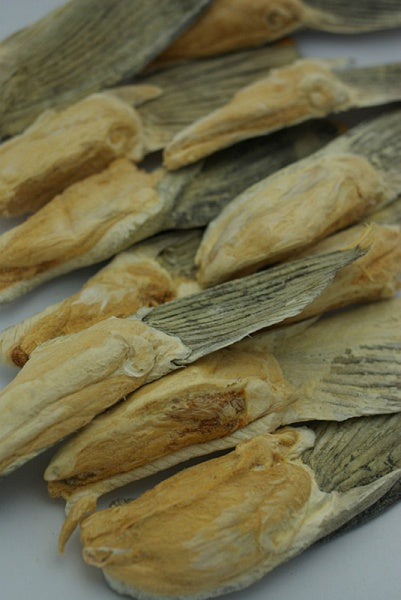 Fish 4 Pets Freeze Dried Salmon Fin Dog Treat 57g - Kohepets