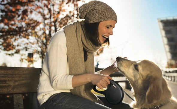 Flexi New Classic Retractable Tape Leash Small - Kohepets