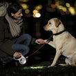 Flexi LED Lighting System - Kohepets