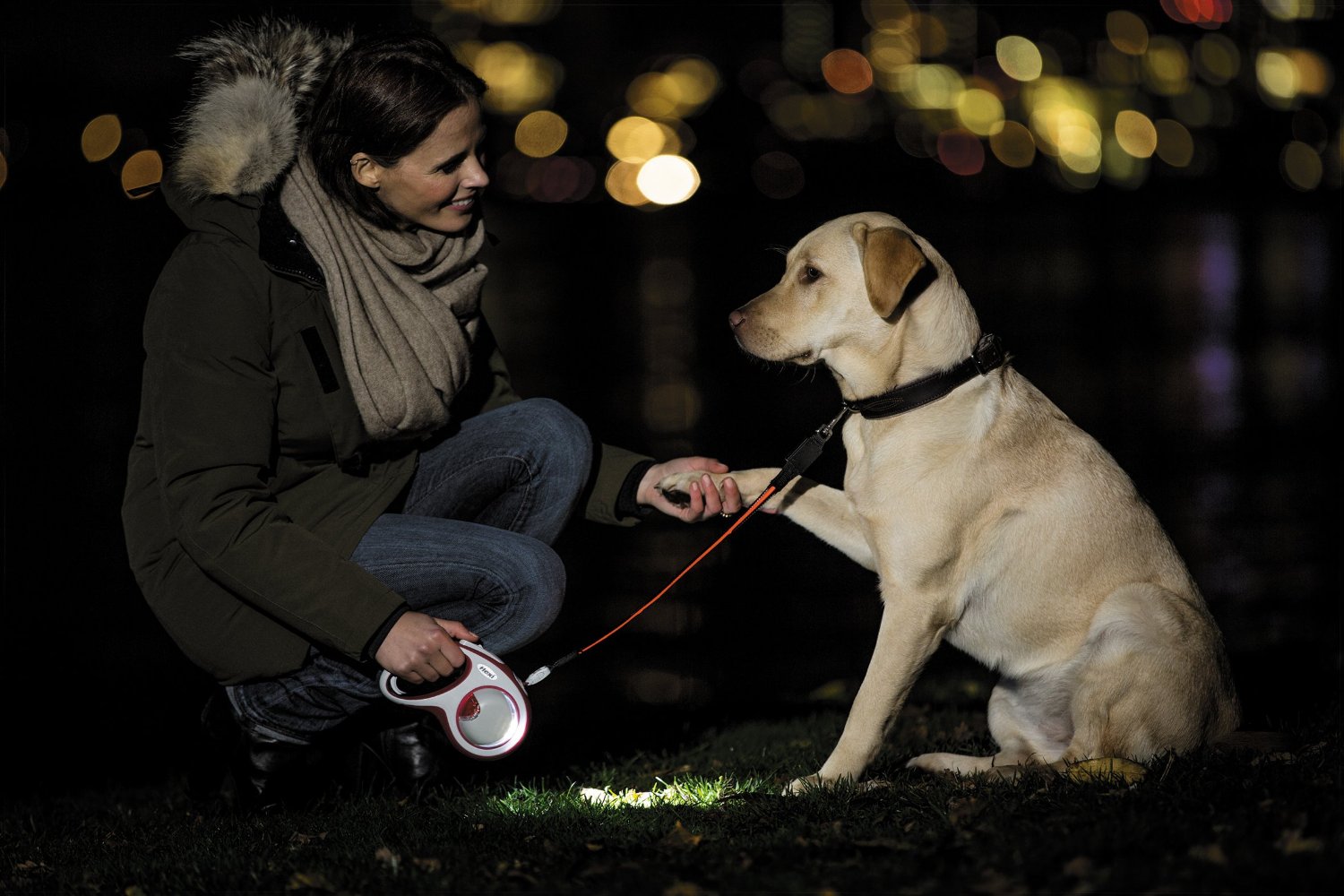 Flexi LED Lighting System - Kohepets