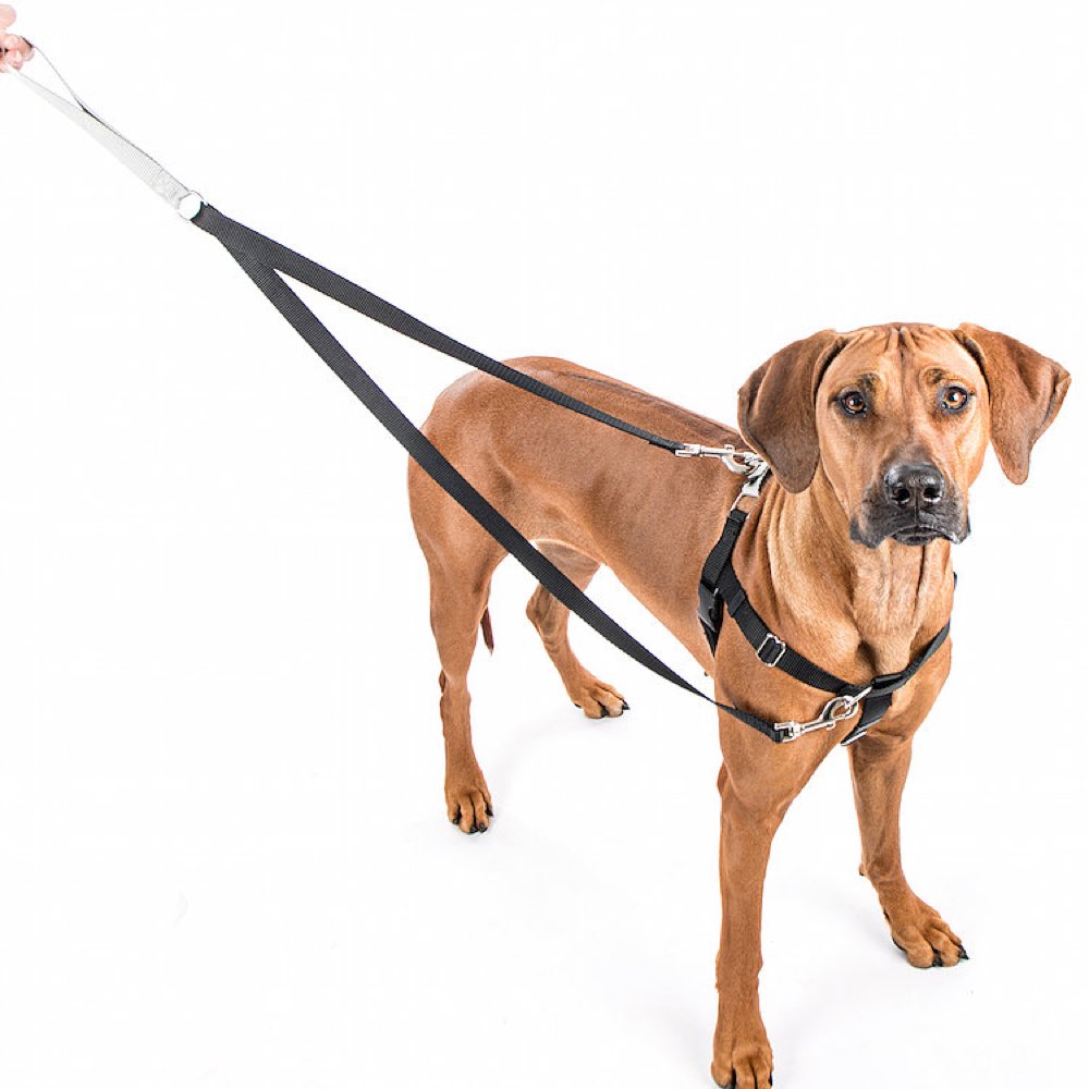 2 Hounds Design Freedom No-Pull Dog Harness - Red/Black - Kohepets