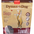 Cloud Star Dynamo Dog Pumpkin & Ginger Tummy Soft Chews Dog Treats 5oz - Kohepets