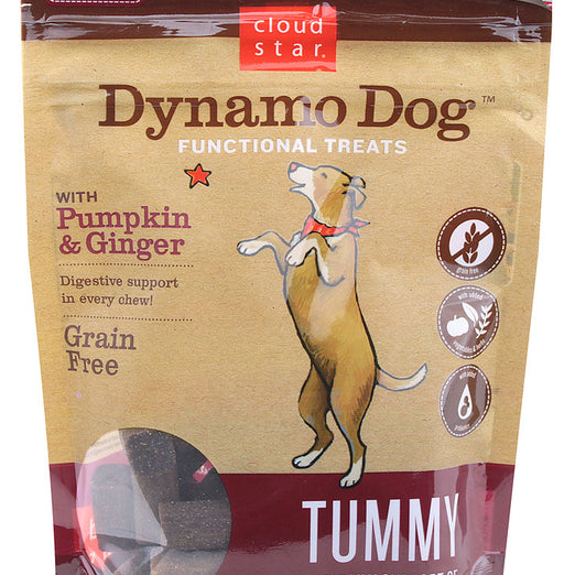 Cloud Star Dynamo Dog Pumpkin & Ginger Tummy Soft Chews Dog Treats 5oz - Kohepets