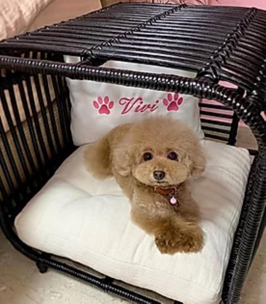 Furnish Broche 1-Opening Cat & Dog Bed (Black) - Kohepets