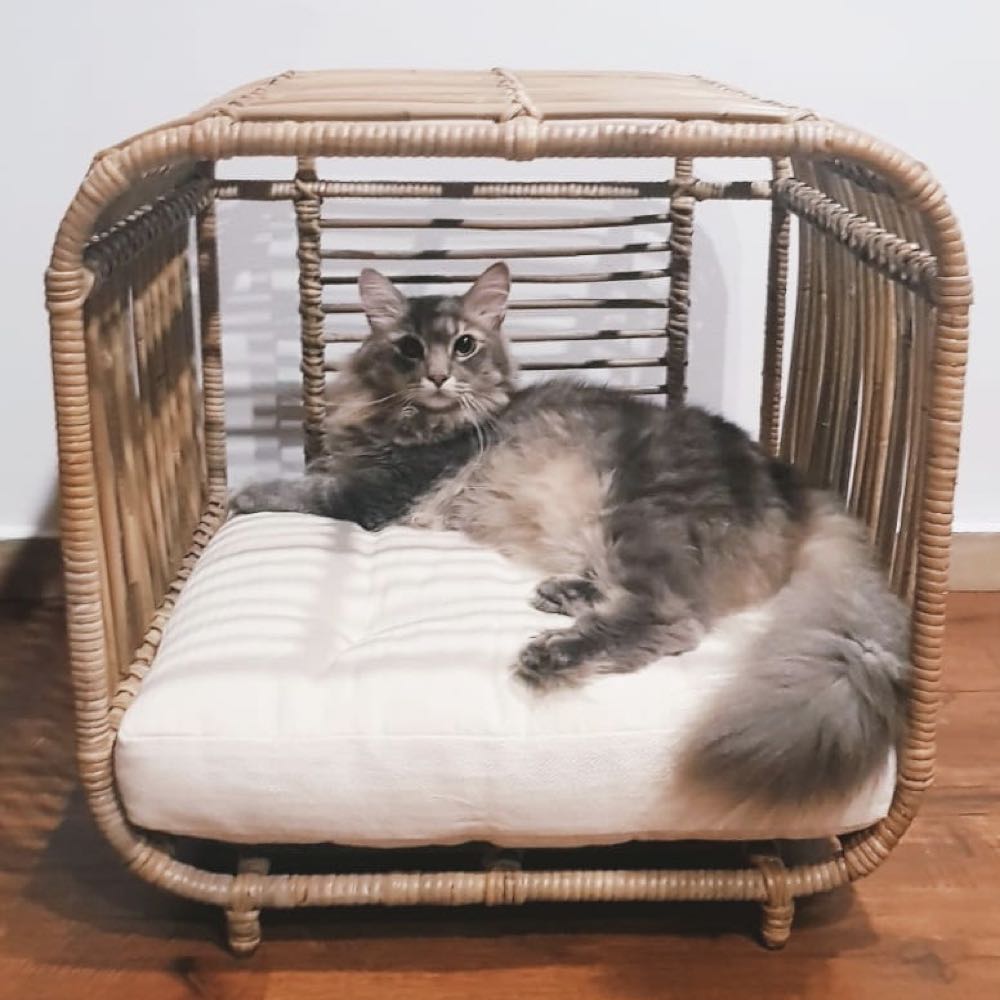 Furnish Broche 1-Opening Cat & Dog Bed (Grey) - Kohepets