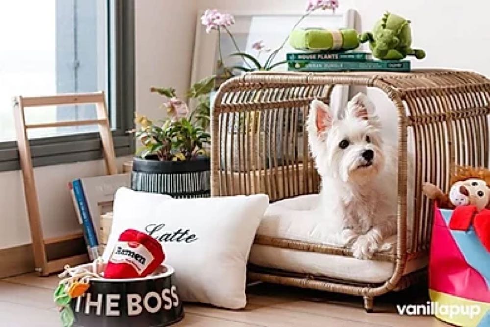 Furnish Broche 2-Openings Cat & Dog Bed (Grey) - Kohepets