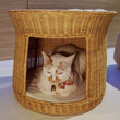 Furnish Cupcake Cat Bed (Natural) - Kohepets