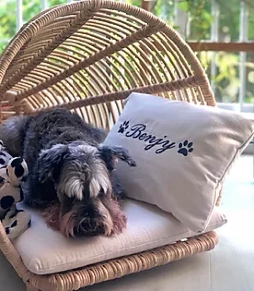 Furnish Gelato Cone Cat & Dog Bed (Natural Willow) - Kohepets